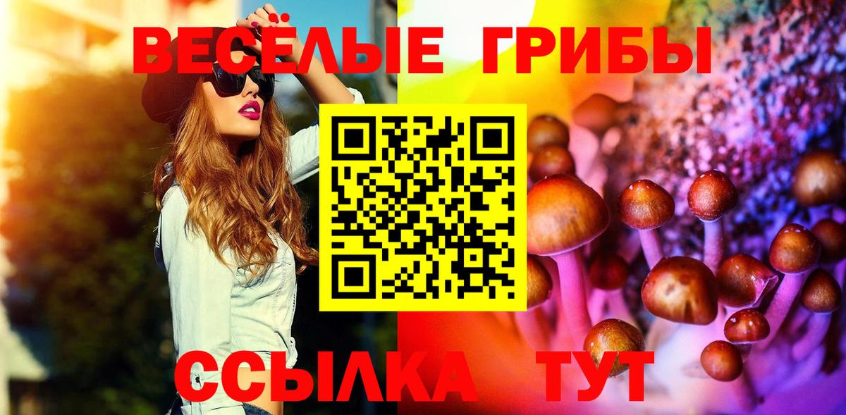 Псилоцибиновые грибы Psilocybe Асбест